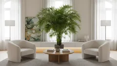 Ako vypestovať bujnú palmu doma: jednoduché pravidlá, ktoré naozaj fungujú