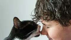 Mačacie zvyky: prečo olizovanie nie je len prejavom náklonnosti